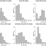 On the Diversity of Interdomain Routing in Africa 