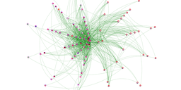 How “National” is the Dutch Critical IP Infrastructure?