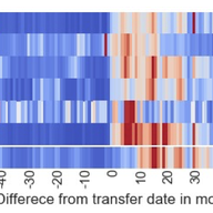 IPv4 Transfer Markets Misuse: A First Look