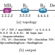 Tracebox, a Tool to Detect Middleboxes