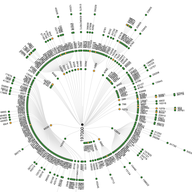 Measuring IPv6 Connectivity with RIPE Atlas - How Do Others See Your IPv6 Network?