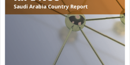 RIPE NCC Country Report: Saudi Arabia