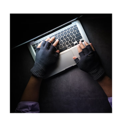 Cyber crime