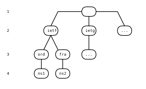 dns tree