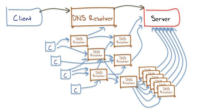 GP DNS Fig.2