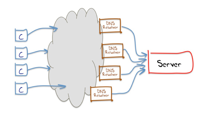 GP DNS Fig.3